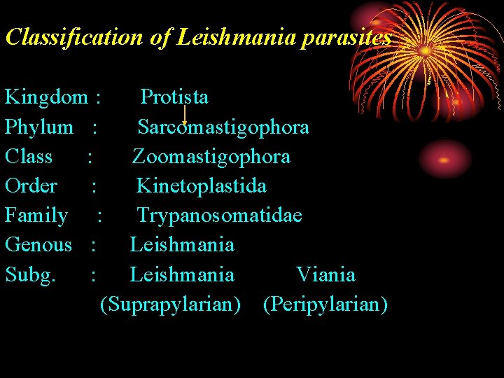 Classification of Leishmania parasites Kingdom : Protista Phylum : Sarcomastigophora Class : Zoomastigophora Order