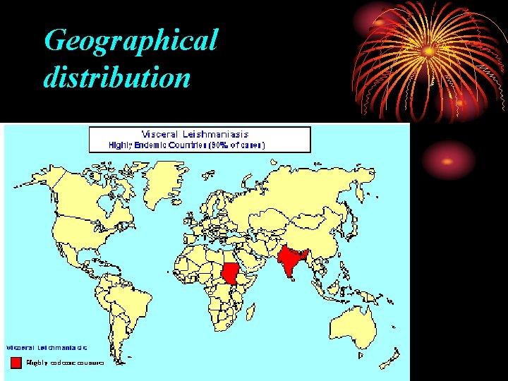 Geographical distribution 