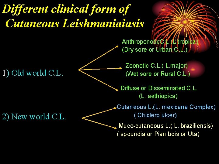 Different clinical form of Cutaneous Leishmaniaiasis Anthroponotic. C. L. (L. tropica) (Dry sore or