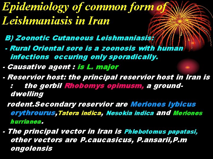 Epidemiology of common form of Leishmaniasis in Iran B) Zoonotic Cutaneous Leishmaniasis: - Rural