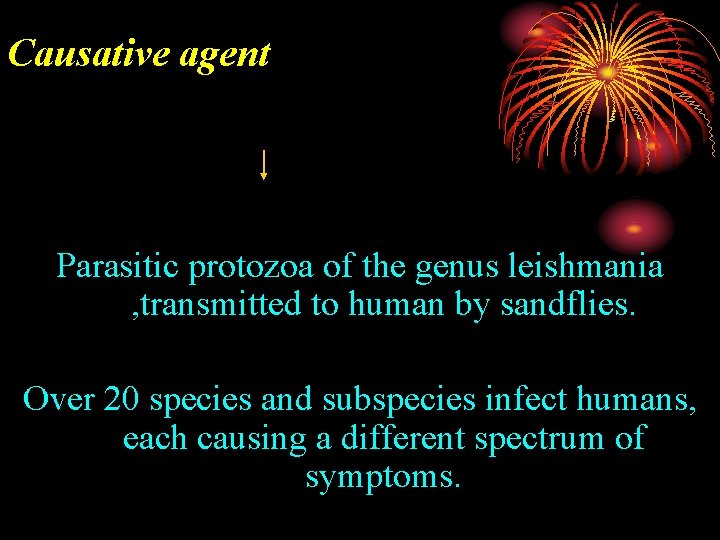 Causative agent Parasitic protozoa of the genus leishmania , transmitted to human by sandflies.