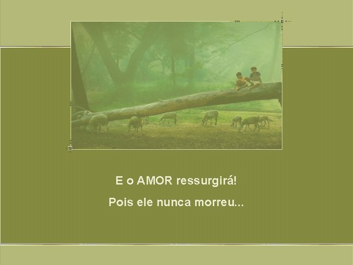 E o AMOR ressurgirá! Pois ele nunca morreu. . . 