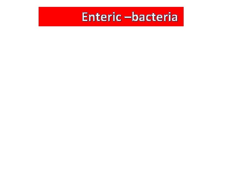 Enteric –bacteria 