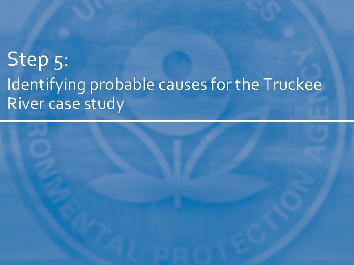 Step 5: Identifying probable causes for the Truckee River case study 