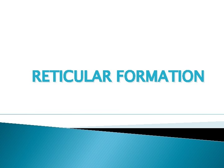 RETICULAR FORMATION 