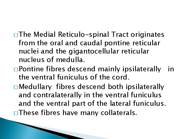 � The Medial Reticulo-spinal Tract originates from the oral and caudal pontine reticular nuclei