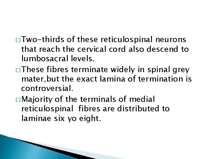 � Two-thirds of these reticulospinal neurons that reach the cervical cord also descend to