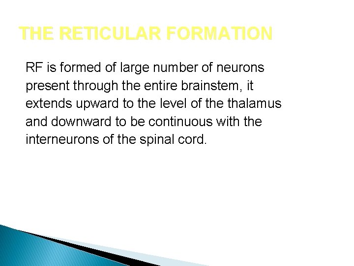 THE RETICULAR FORMATION RF is formed of large number of neurons present through the