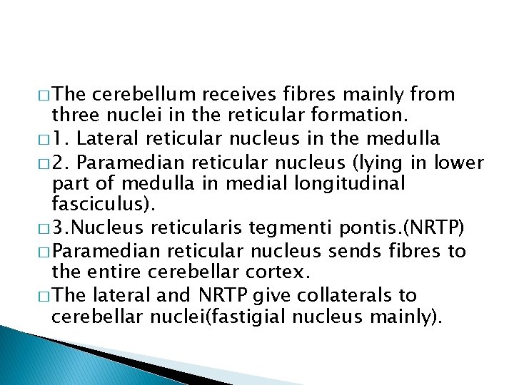 � The cerebellum receives fibres mainly from three nuclei in the reticular formation. �