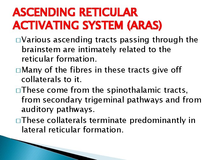 ASCENDING RETICULAR ACTIVATING SYSTEM (ARAS) � Various ascending tracts passing through the brainstem are