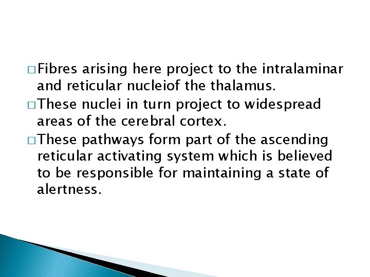 � Fibres arising here project to the intralaminar and reticular nucleiof the thalamus. �