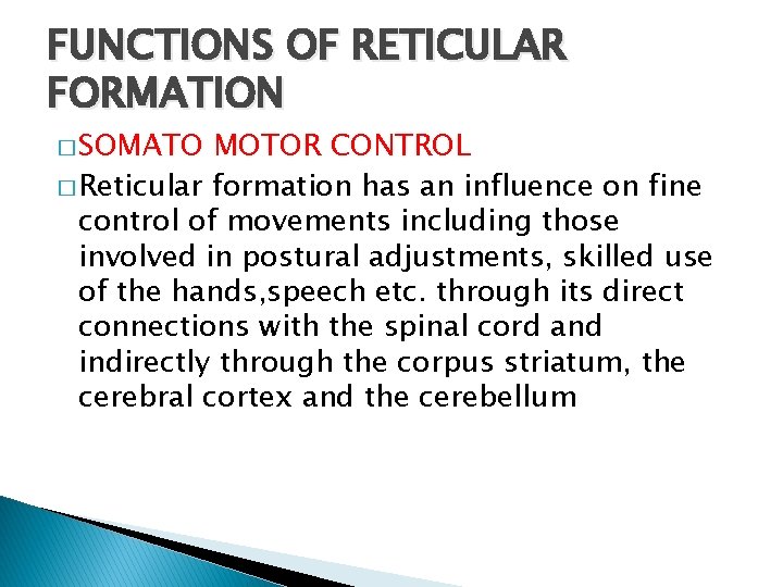 FUNCTIONS OF RETICULAR FORMATION � SOMATO MOTOR CONTROL � Reticular formation has an influence