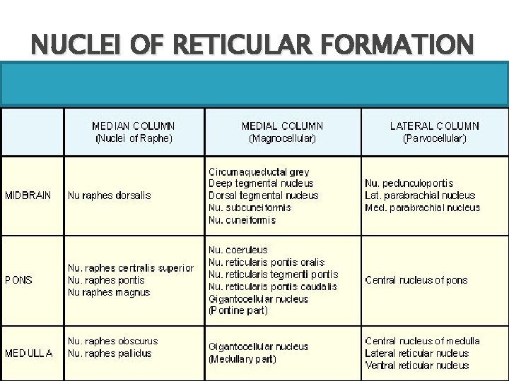 NUCLEI OF RETICULAR FORMATION 