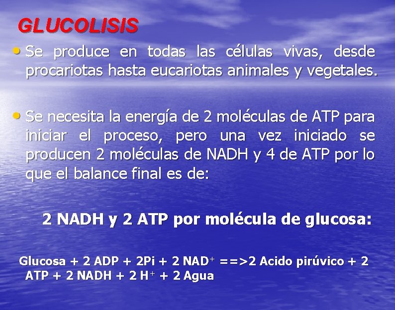 GLUCOLISIS • Se produce en todas las células vivas, desde procariotas hasta eucariotas animales