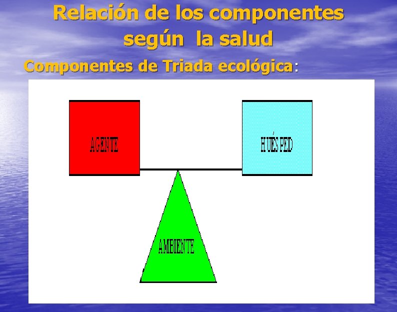 Relación de los componentes según la salud Componentes de Triada ecológica: 