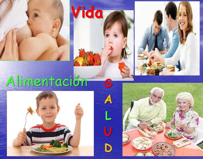 Vida Alimentación S A L U D 