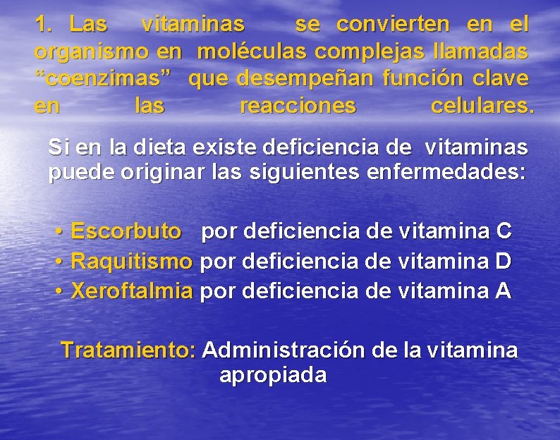 1. Las vitaminas se convierten en el organismo en moléculas complejas llamadas “coenzimas” que