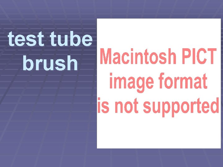 test tube brush 