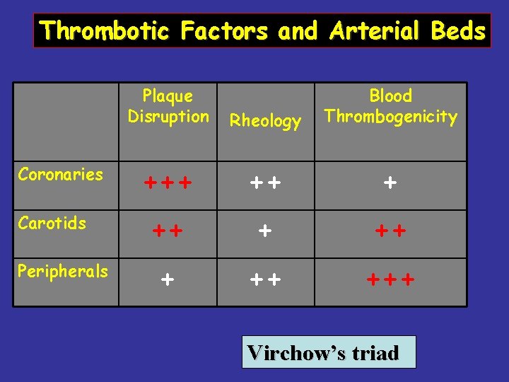 Thrombotic Factors and Arterial Beds Coronaries Carotids Peripherals Plaque Disruption Rheology Blood Thrombogenicity +++