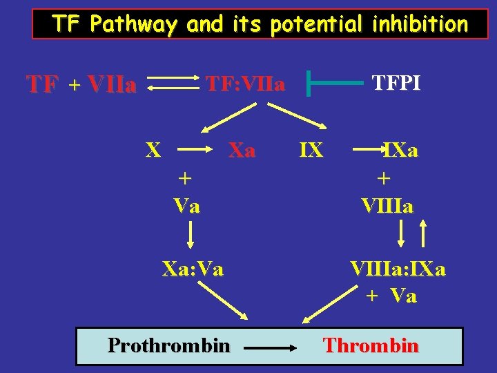 TF Pathway and its potential inhibition TF + VIIa TFPI TF: VIIa X Xa