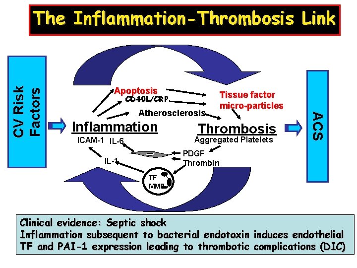 Apoptosis CD 40 L/CRP Atherosclerosis Inflammation Tissue factor micro-particles Thrombosis Aggregated Platelets ICAM-1 IL-6