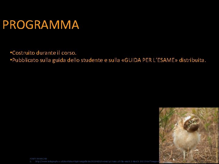 PROGRAMMA • Costruito durante il corso. • Pubblicato sulla guida dello studente e sulla