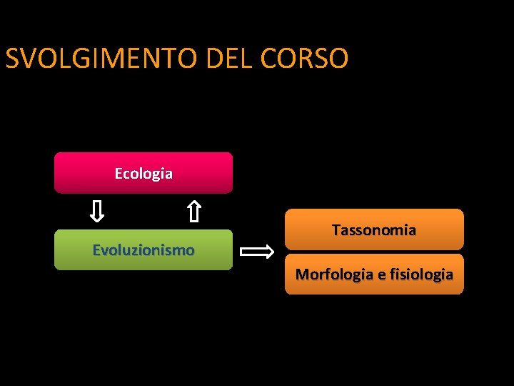 SVOLGIMENTO DEL CORSO Ecologia Evoluzionismo Tassonomia Morfologia e fisiologia 