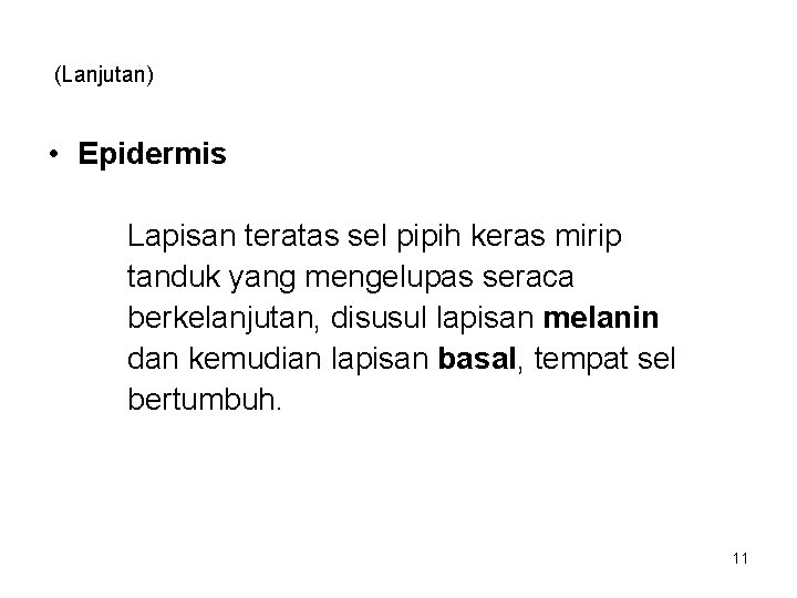 (Lanjutan) • Epidermis Lapisan teratas sel pipih keras mirip tanduk yang mengelupas seraca berkelanjutan,