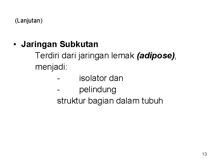 (Lanjutan) • Jaringan Subkutan Terdiri dari jaringan lemak (adipose), menjadi: isolator dan pelindung struktur