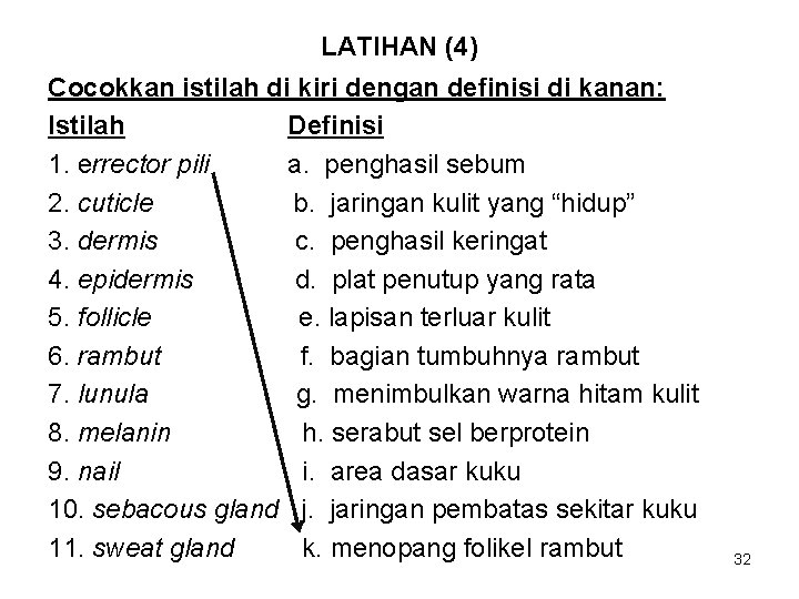 LATIHAN (4) Cocokkan istilah di kiri dengan definisi di kanan: Istilah Definisi 1. errector