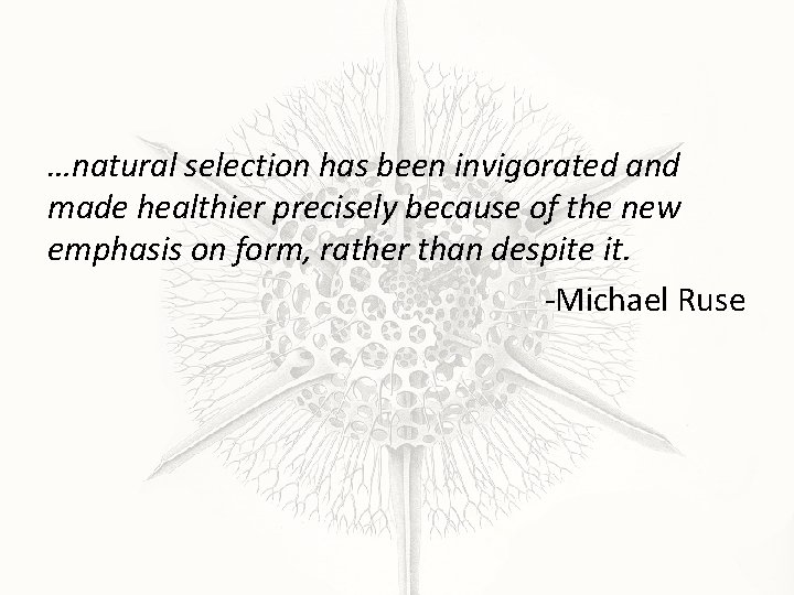 …natural selection has been invigorated and made healthier precisely because of the new emphasis