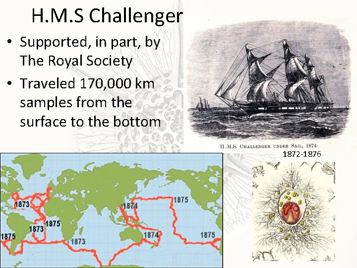 H. M. S Challenger • Supported, in part, by The Royal Society • Traveled