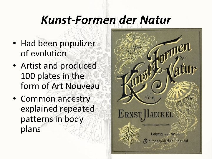 Kunst-Formen der Natur • Had been populizer of evolution • Artist and produced 100