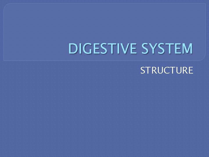 DIGESTIVE SYSTEM STRUCTURE 