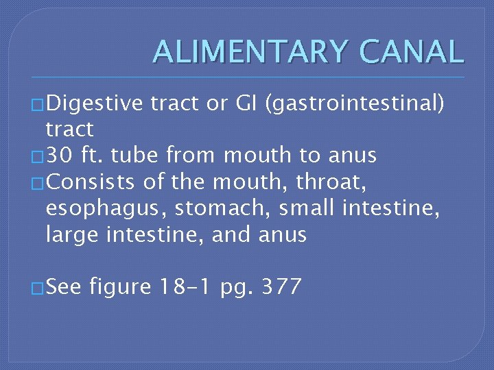 ALIMENTARY CANAL �Digestive tract or GI (gastrointestinal) tract � 30 ft. tube from mouth