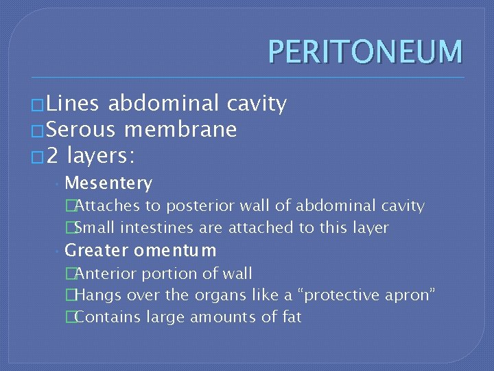 PERITONEUM �Lines abdominal cavity �Serous membrane � 2 layers: • Mesentery �Attaches to posterior