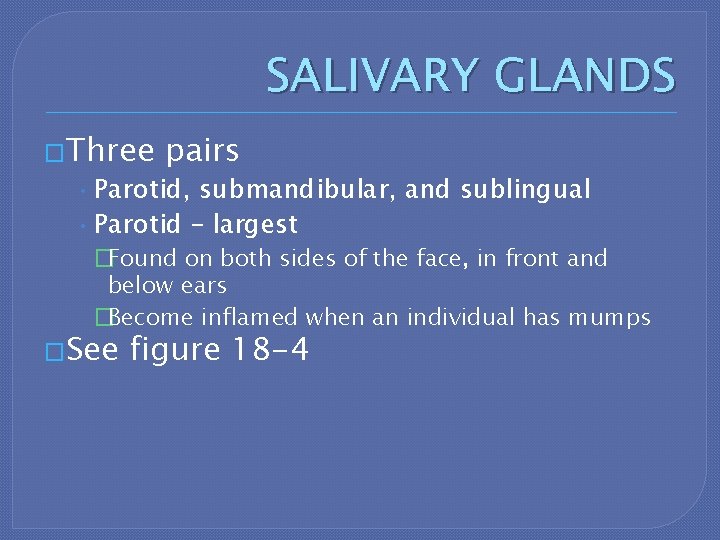 SALIVARY GLANDS �Three pairs • Parotid, submandibular, and sublingual • Parotid – largest �Found