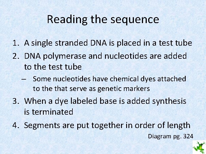 Reading the sequence 1. A single stranded DNA is placed in a test tube