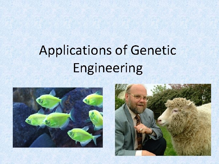 Applications of Genetic Engineering 