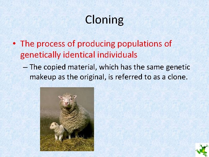 Cloning • The process of producing populations of genetically identical individuals – The copied