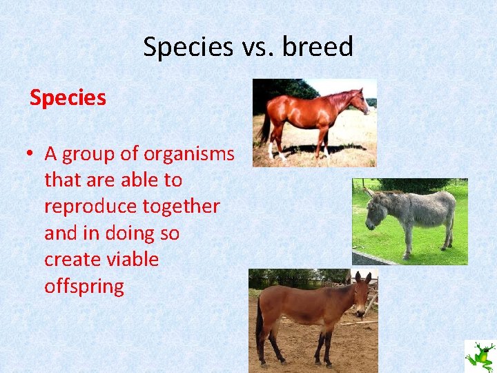 Species vs. breed Species • A group of organisms that are able to reproduce