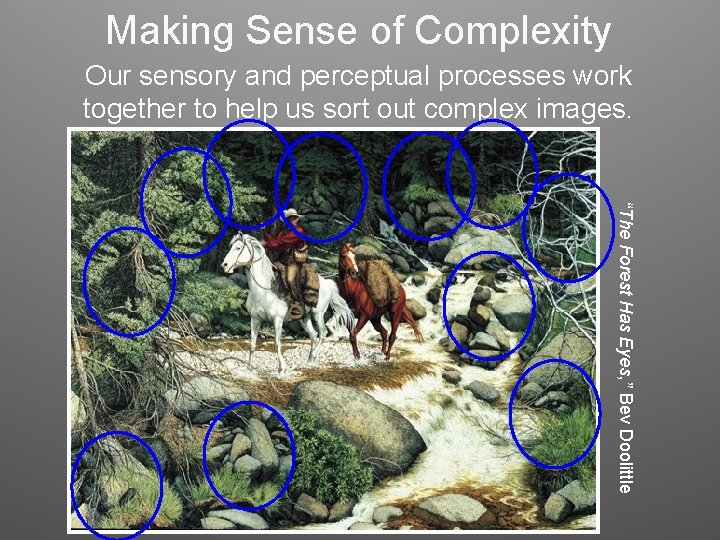 Making Sense of Complexity Our sensory and perceptual processes work together to help us Making Sense of Complexity Our sensory and perceptual processes work together to help us