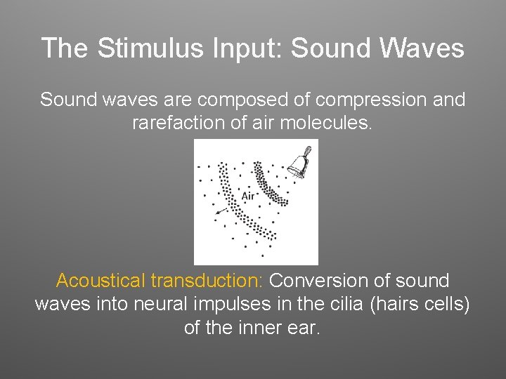 The Stimulus Input: Sound Waves Sound waves are composed of compression and rarefaction of The Stimulus Input: Sound Waves Sound waves are composed of compression and rarefaction of