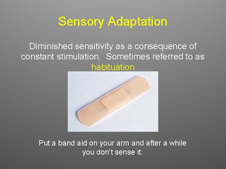 Sensory Adaptation Diminished sensitivity as a consequence of constant stimulation. Sometimes referred to as Sensory Adaptation Diminished sensitivity as a consequence of constant stimulation. Sometimes referred to as