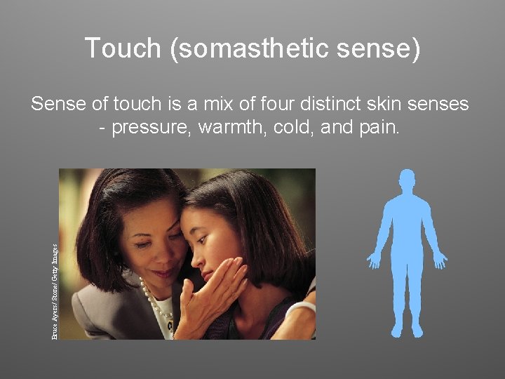 Touch (somasthetic sense) Bruce Ayers/ Stone/ Getty Images Sense of touch is a mix Touch (somasthetic sense) Bruce Ayers/ Stone/ Getty Images Sense of touch is a mix