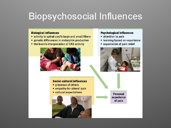 Biopsychosocial Influences Biopsychosocial Influences