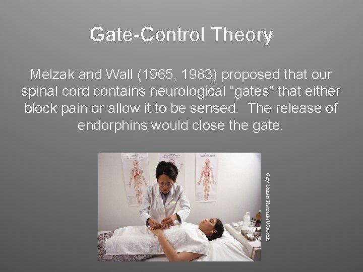 Gate-Control Theory Melzak and Wall (1965, 1983) proposed that our spinal cord contains neurological Gate-Control Theory Melzak and Wall (1965, 1983) proposed that our spinal cord contains neurological