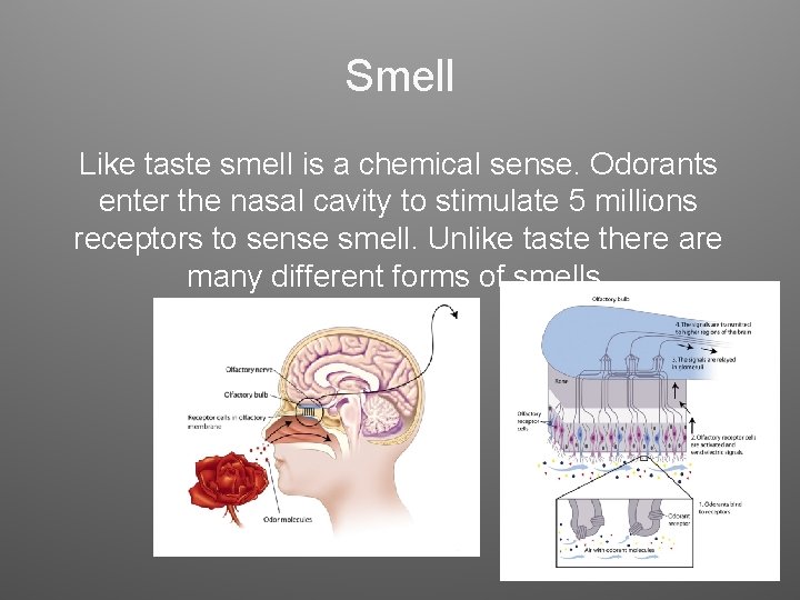 Smell Like taste smell is a chemical sense. Odorants enter the nasal cavity to Smell Like taste smell is a chemical sense. Odorants enter the nasal cavity to