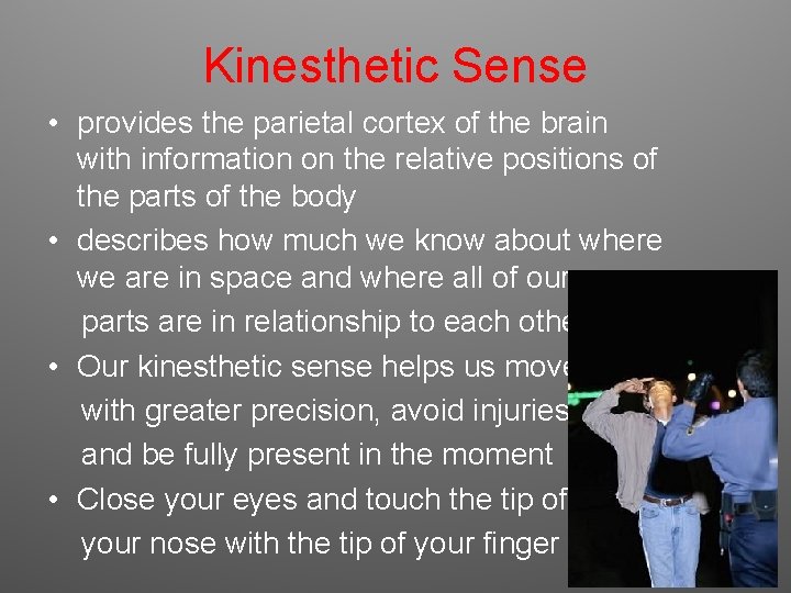Kinesthetic Sense • provides the parietal cortex of the brain with information on the Kinesthetic Sense • provides the parietal cortex of the brain with information on the