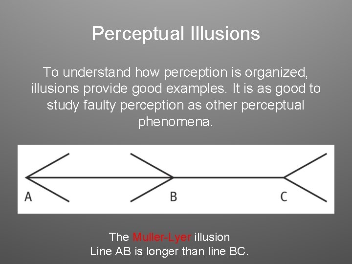 Perceptual Illusions To understand how perception is organized, illusions provide good examples. It is Perceptual Illusions To understand how perception is organized, illusions provide good examples. It is